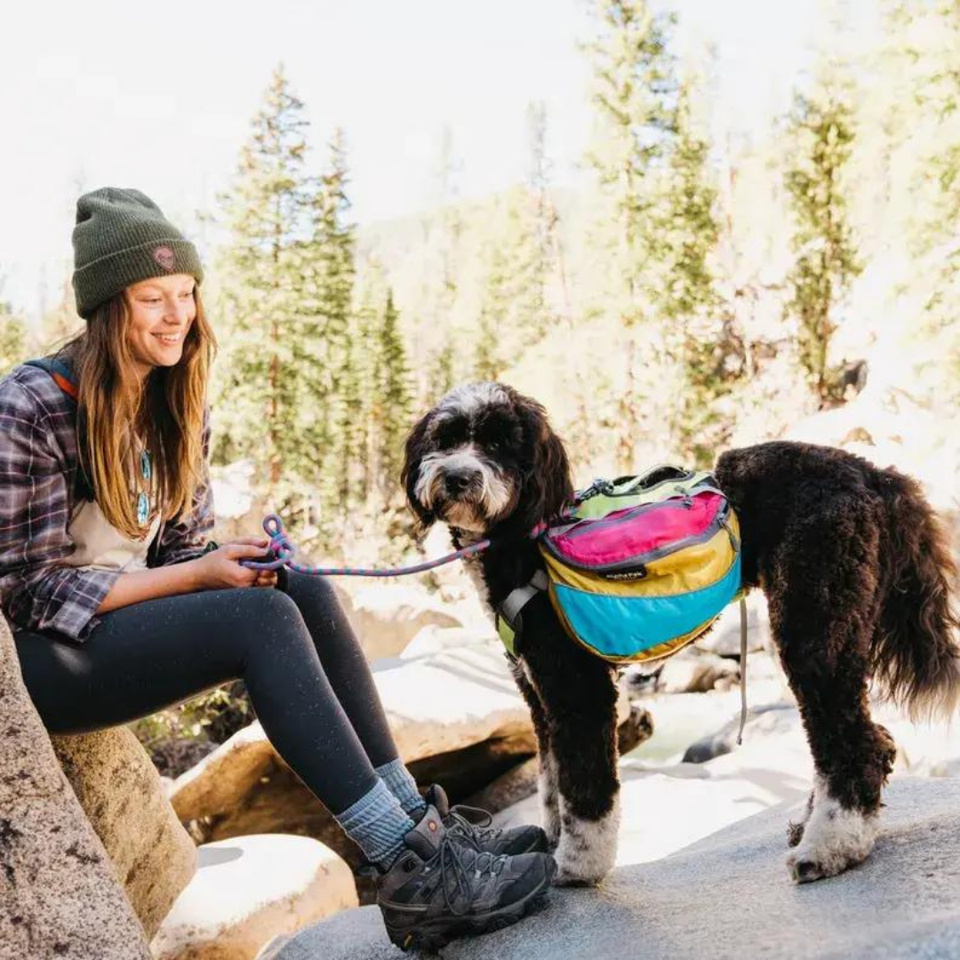 A female sits with her dog wearing a travel backpack.