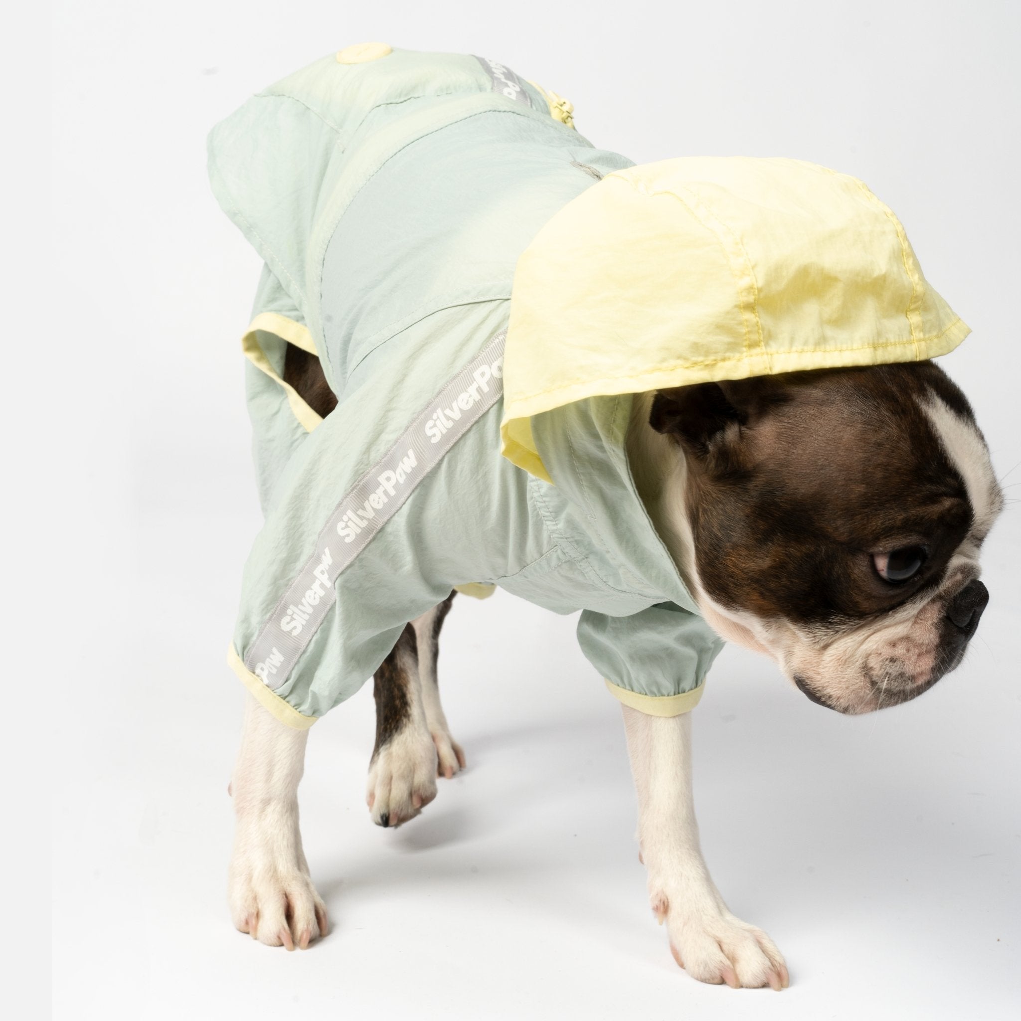 Bundle Bobbi - 2 Piece Splash Suit + Life Jacket - Essential gear for water-loving dogs.