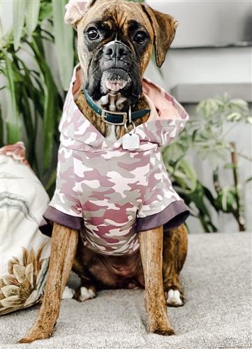 A dog wearing a pink camouflage hoodie