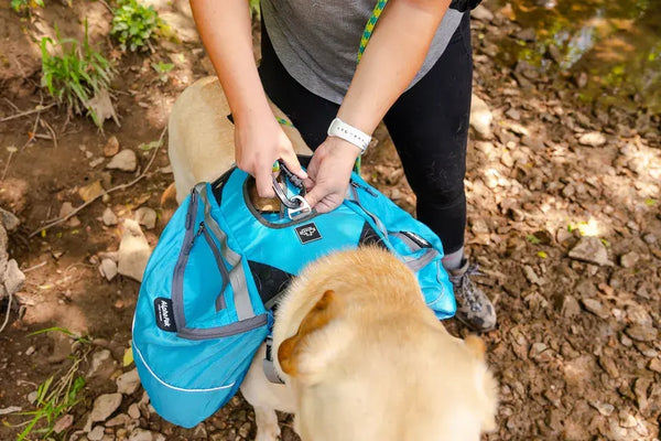 Explorer's Companion: Pathfinder EZ Latch Dog Pack - Premium Canine Gear (1-piece)