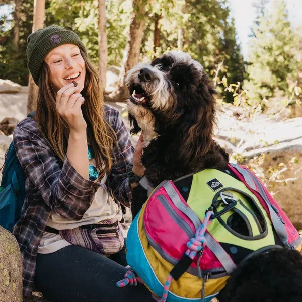 Adventurer 2-piece Dog Pack With EZ Latch Harness - Cuddle Finds