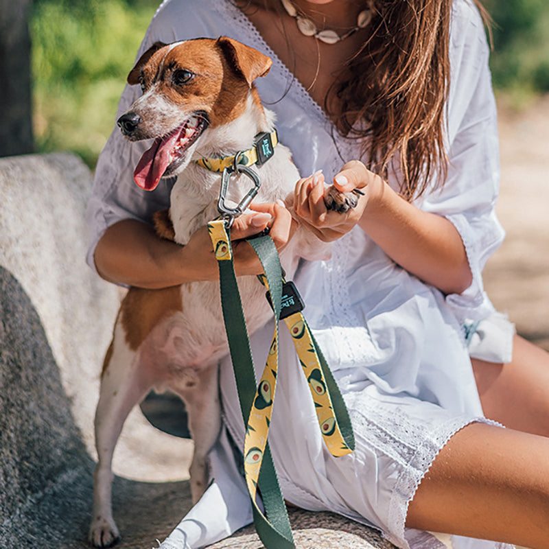 Printed Ribbon Traction Dog Leash - Cuddle Finds