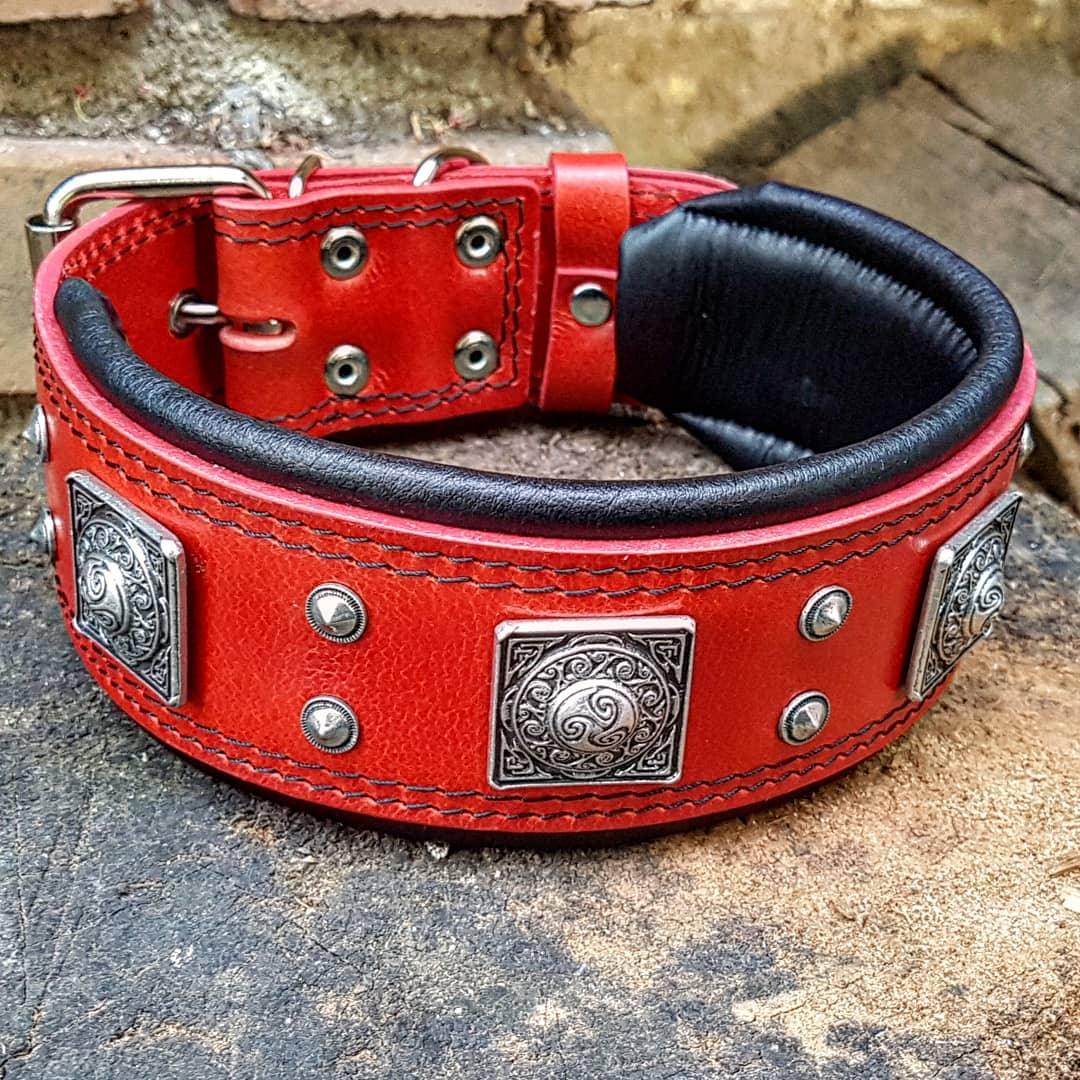 The Eros Dog Collar 2.5 inch wide in Red - Collars - Cuddle Finds