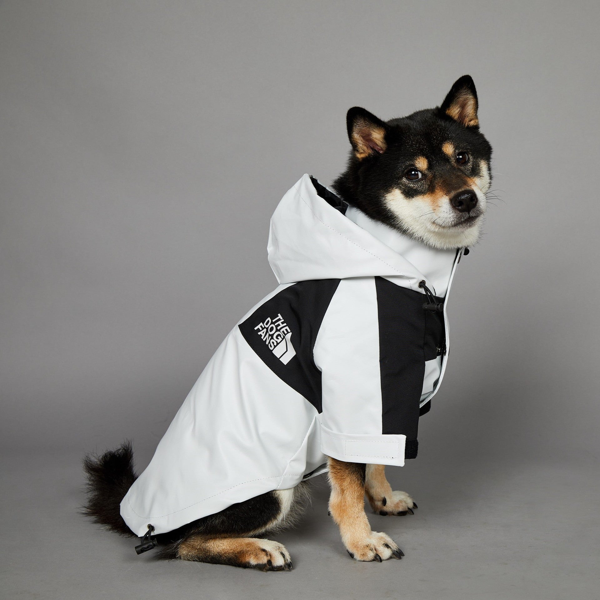 Pet Shell Windproof and Rainproof Large Dog Raincoat