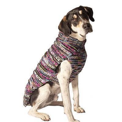 multi colour woodstock knit sweater for dogs