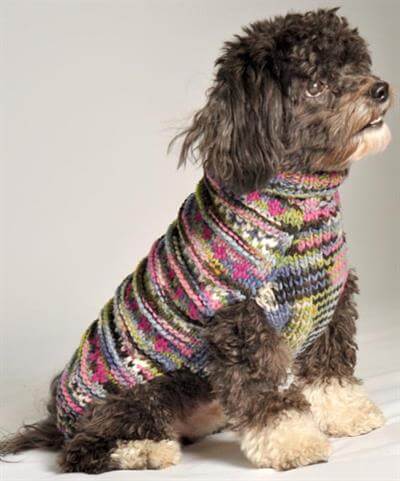 fashion forward woodstock dog sweater