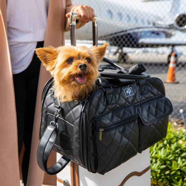 The Lux Pet Carrier - Dog Carrier - Cuddle Finds