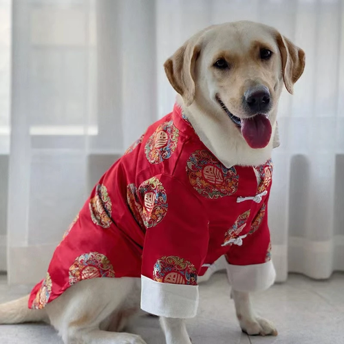 Chinese New Year Tang Suit Large Breed Dog - Traditional and festive attire for your pup.