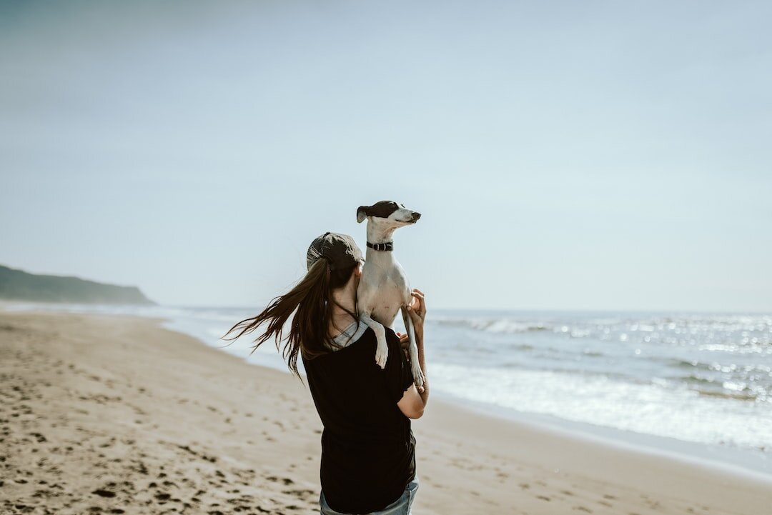 A digital nomad girl walks along the beach with her furry friend dog.