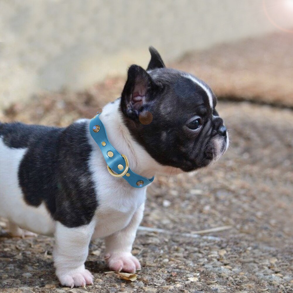 Designer Leather Collar for Tiny Dogs: Elevate Your Pup's Style