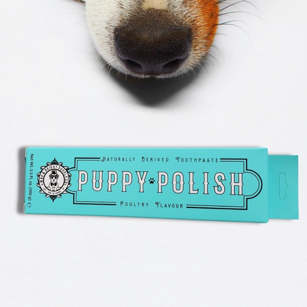 Puppy Polish Toothpaste - Cuddle Finds