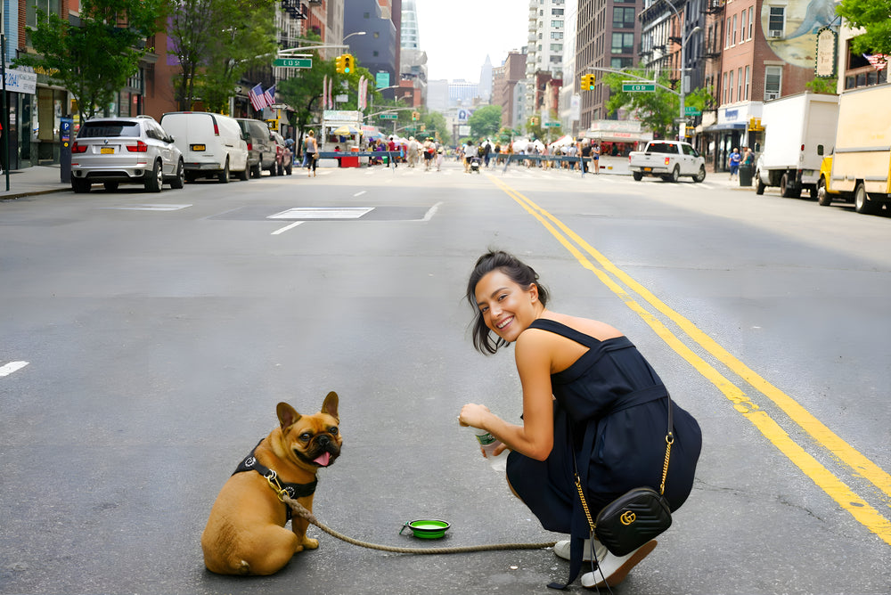 A digital nomad girl hydrates her pup in the street with a dog water bottle.
