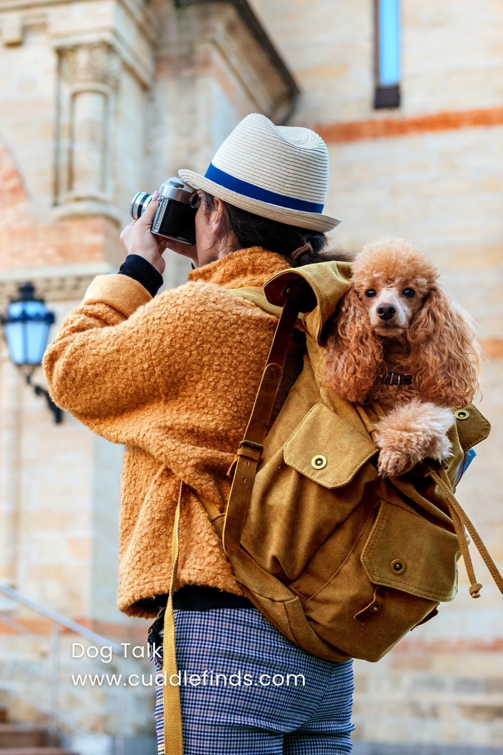 A female digital nomad travels with her furry friend companion.