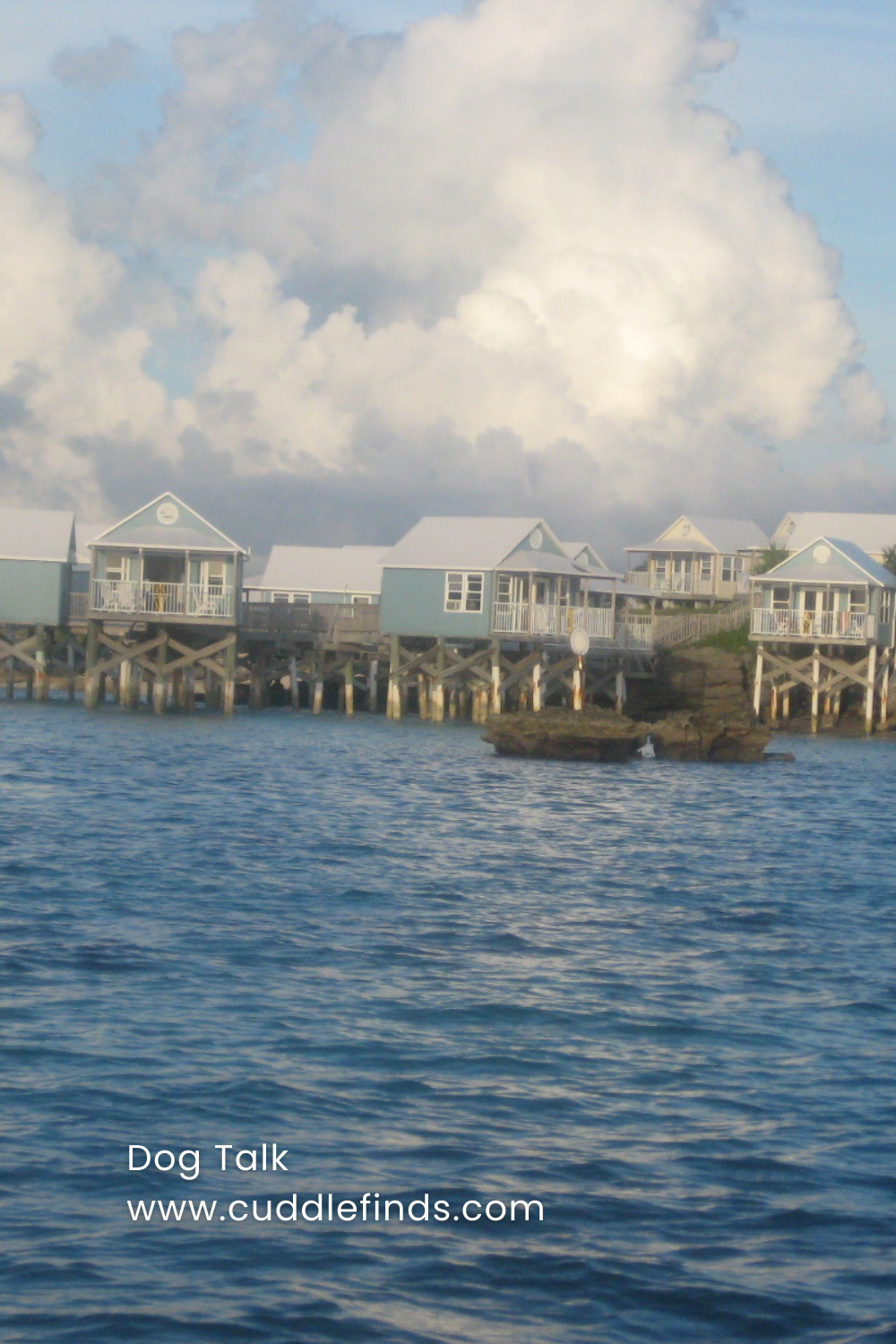 Beach cottages on the water in the Bermuda Triangle