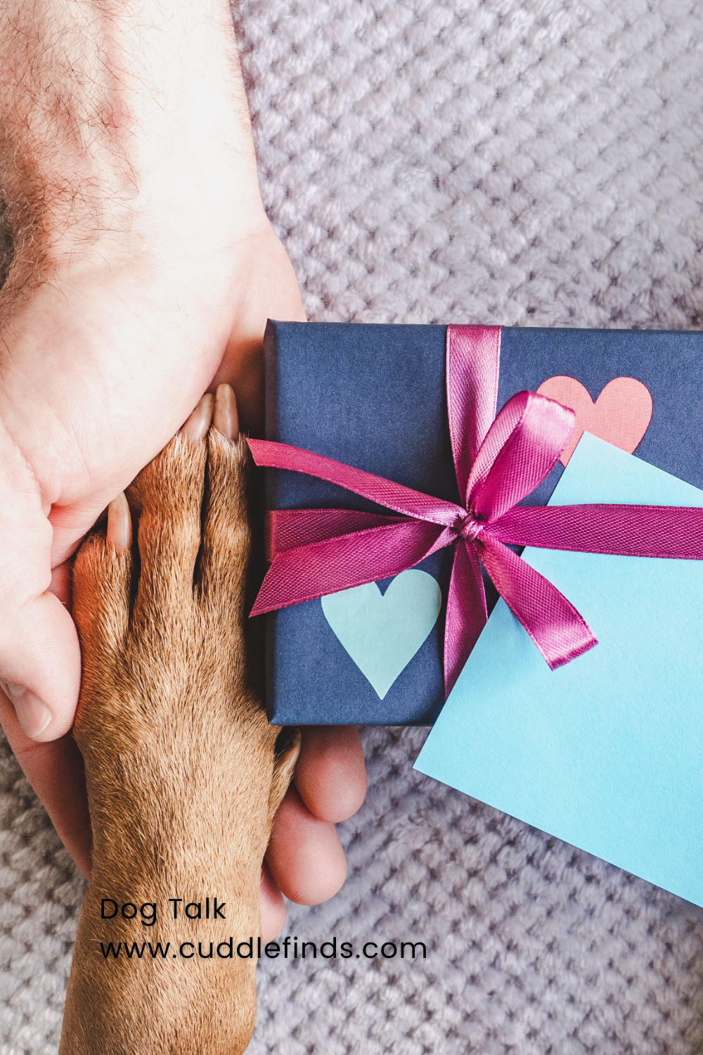 A human hand holding a dogs paw exchanging gifts.