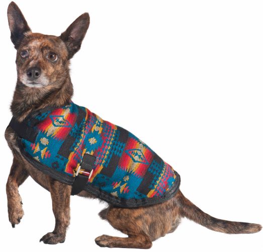 Cultural inspired dog clothing, Calgary, BC Canada.