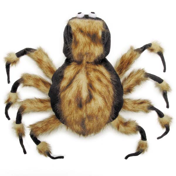 Dog dressed as fuzzy tarantula - Halloween spider costume