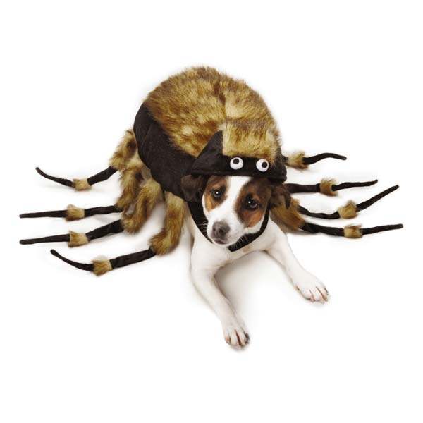 Zack & Zoey® Fuzzy Tarantula Costume - Front View