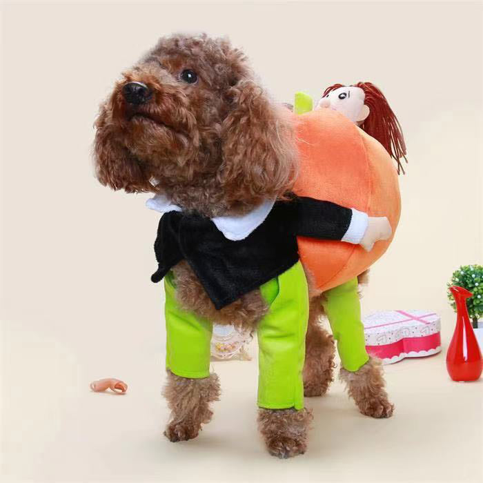 Pumpkin Mon Halloween Pet Dog Costume - Front View