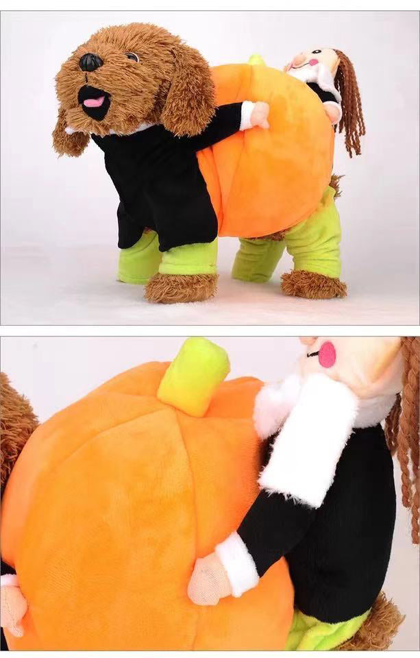 Pet dressed as person carrying pumpkin costume - Halloween fun