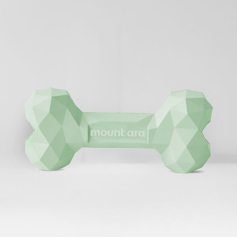 Green aqua bone chew toy for dogs of all ages.