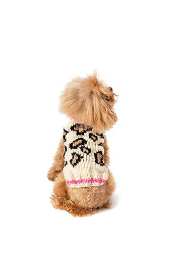 Stylish leopard print dog sweater available in multiple sizes