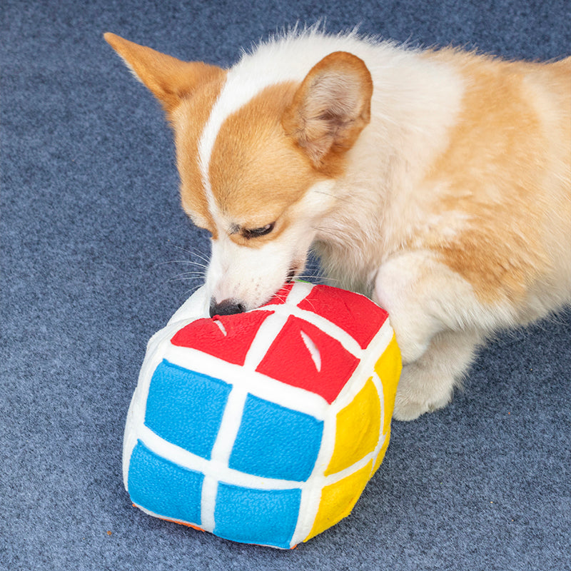 Pet Puzzle Toy Inspired by Rubik's Cube - Keep Your Dog Mentally Active