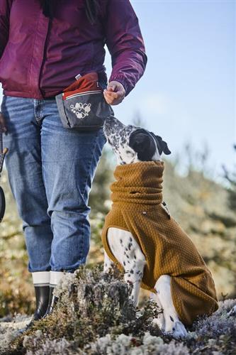 Dog with Freedom to Move in Hurtta Warming Midlayer ECO Jacket 