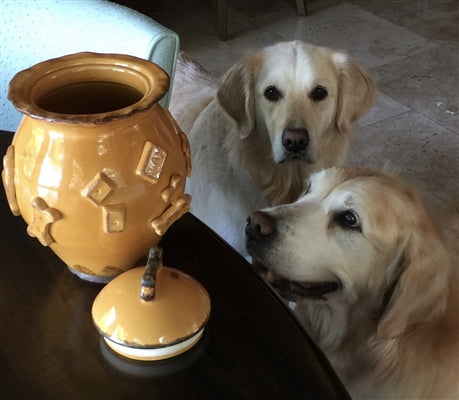 Aqua green Dog Treat Jar with 'Good Dog' cookie lid