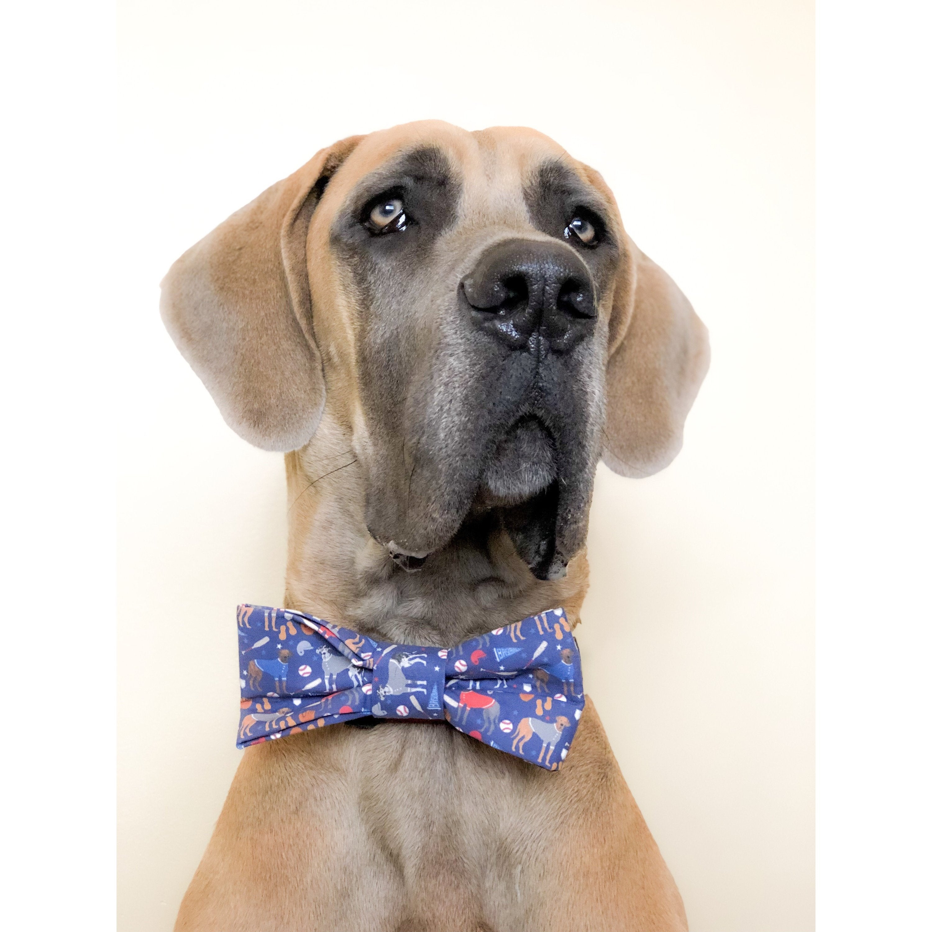 You're a Catch Dog Bow Tie - Dog Bow Tie - Cuddle Finds