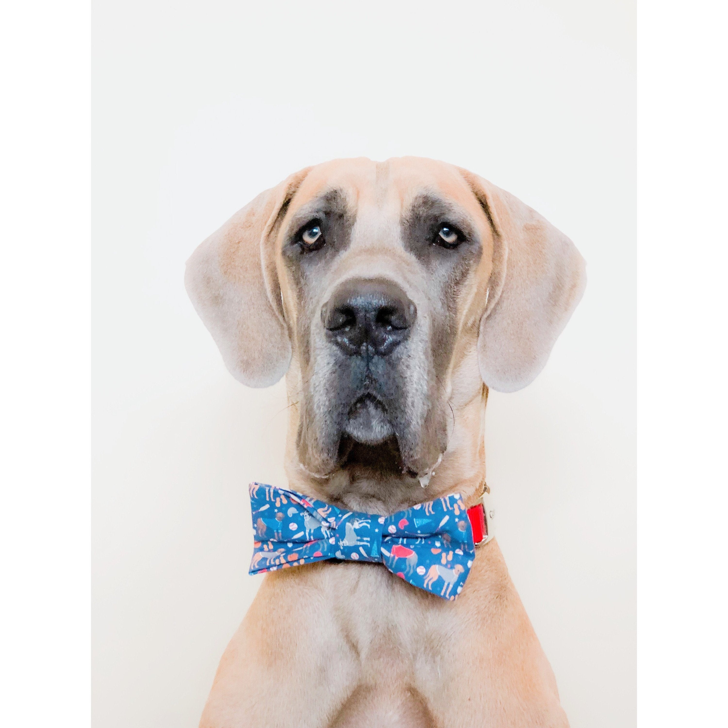 You're a Catch Dog Bow Tie - Dog Bow Tie - Cuddle Finds