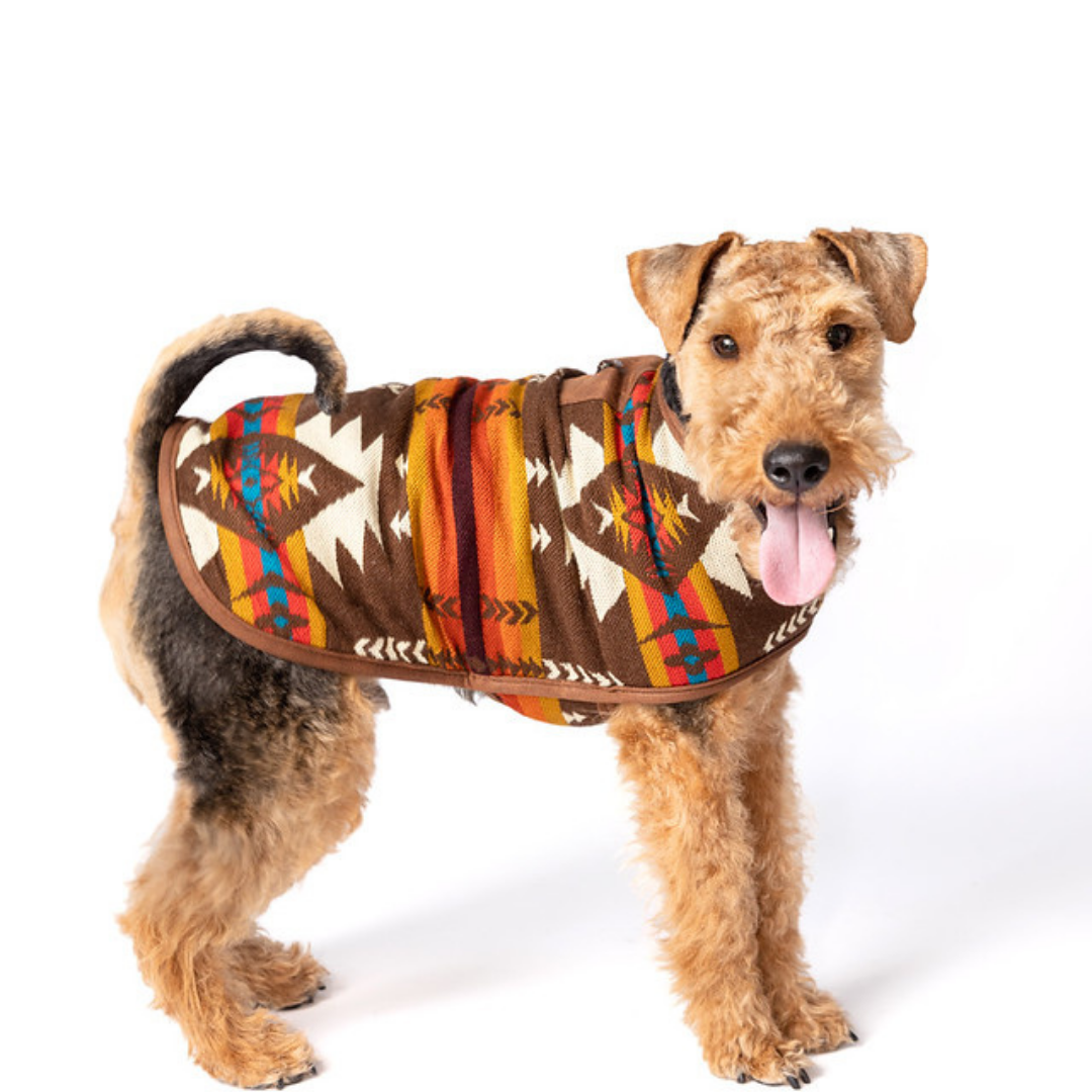 Handmade dog coat online, Arizona USA.