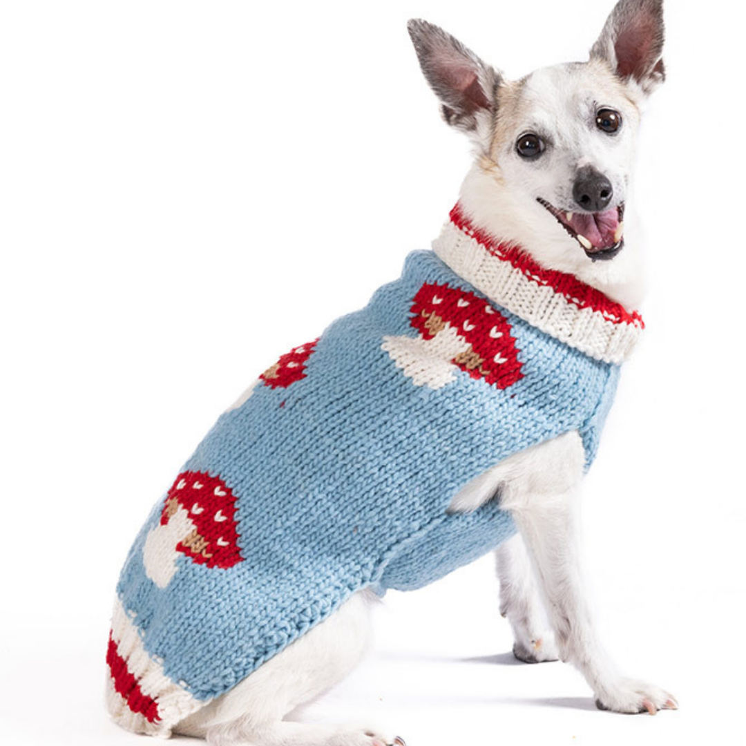 Cozy dog sweater suitable for Christmas and holiday seasons