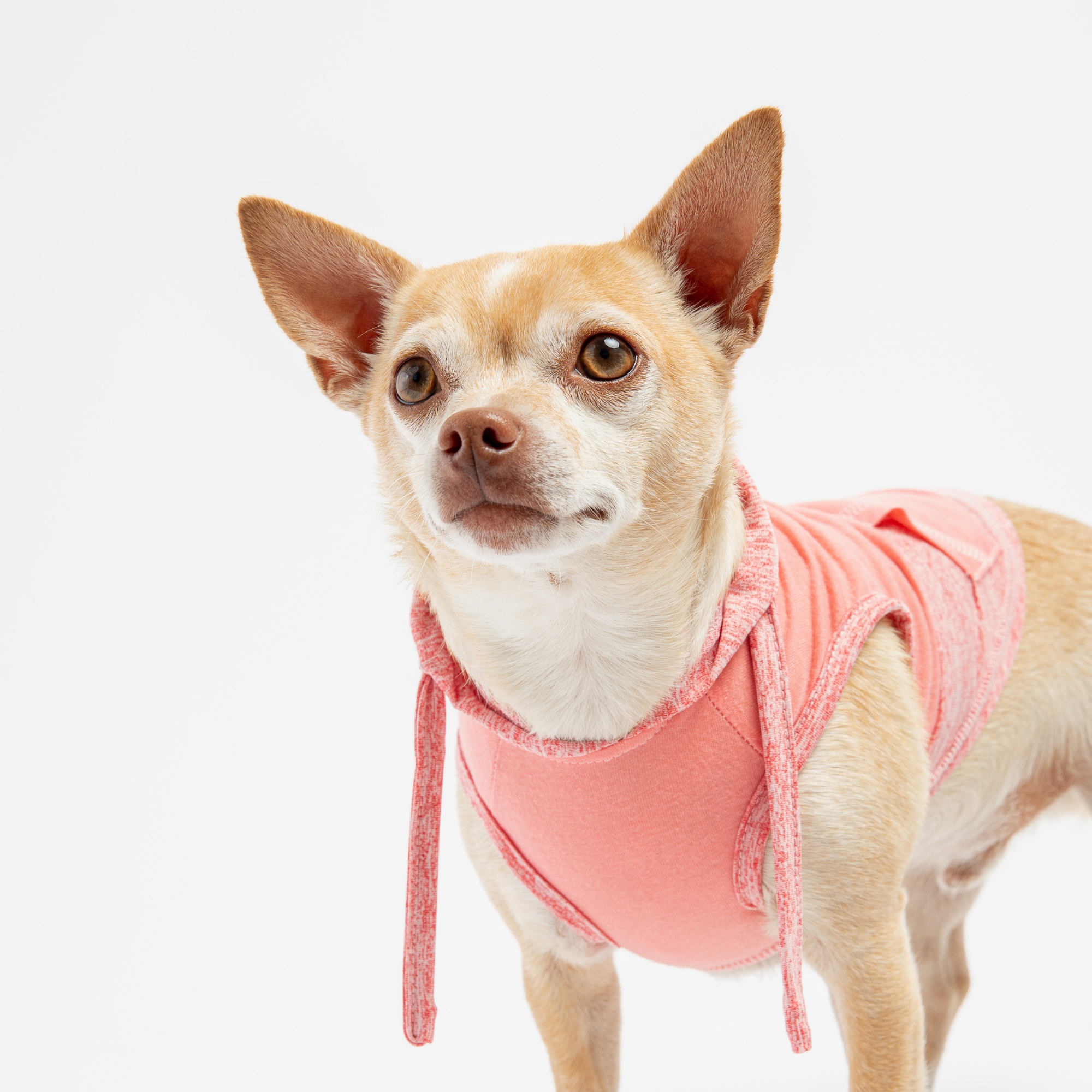 Stylish pink urban fit dog hoodie