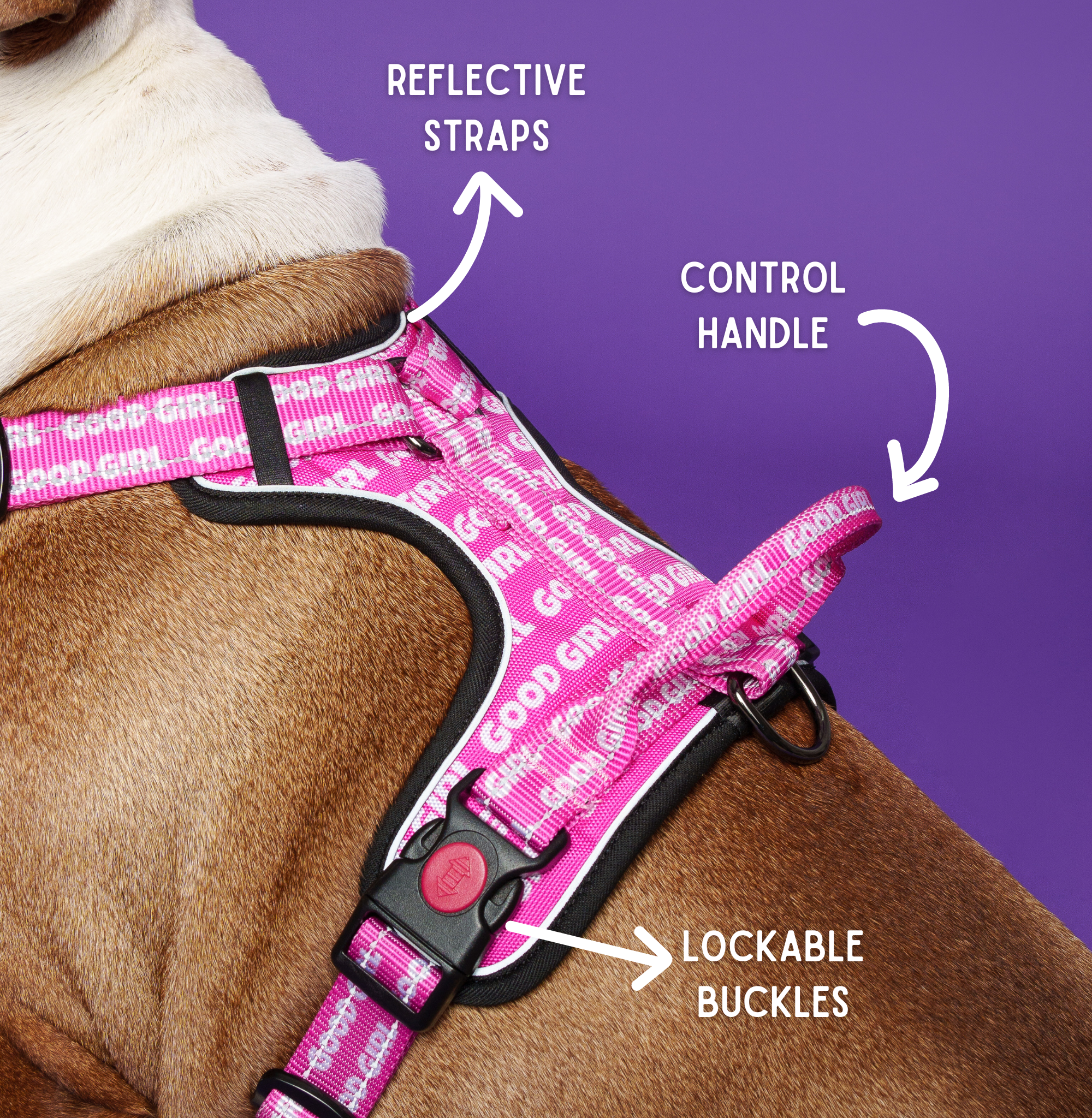 Stylish Good Girl Dog Harness - Make every walk a fashionable affair for your pup.