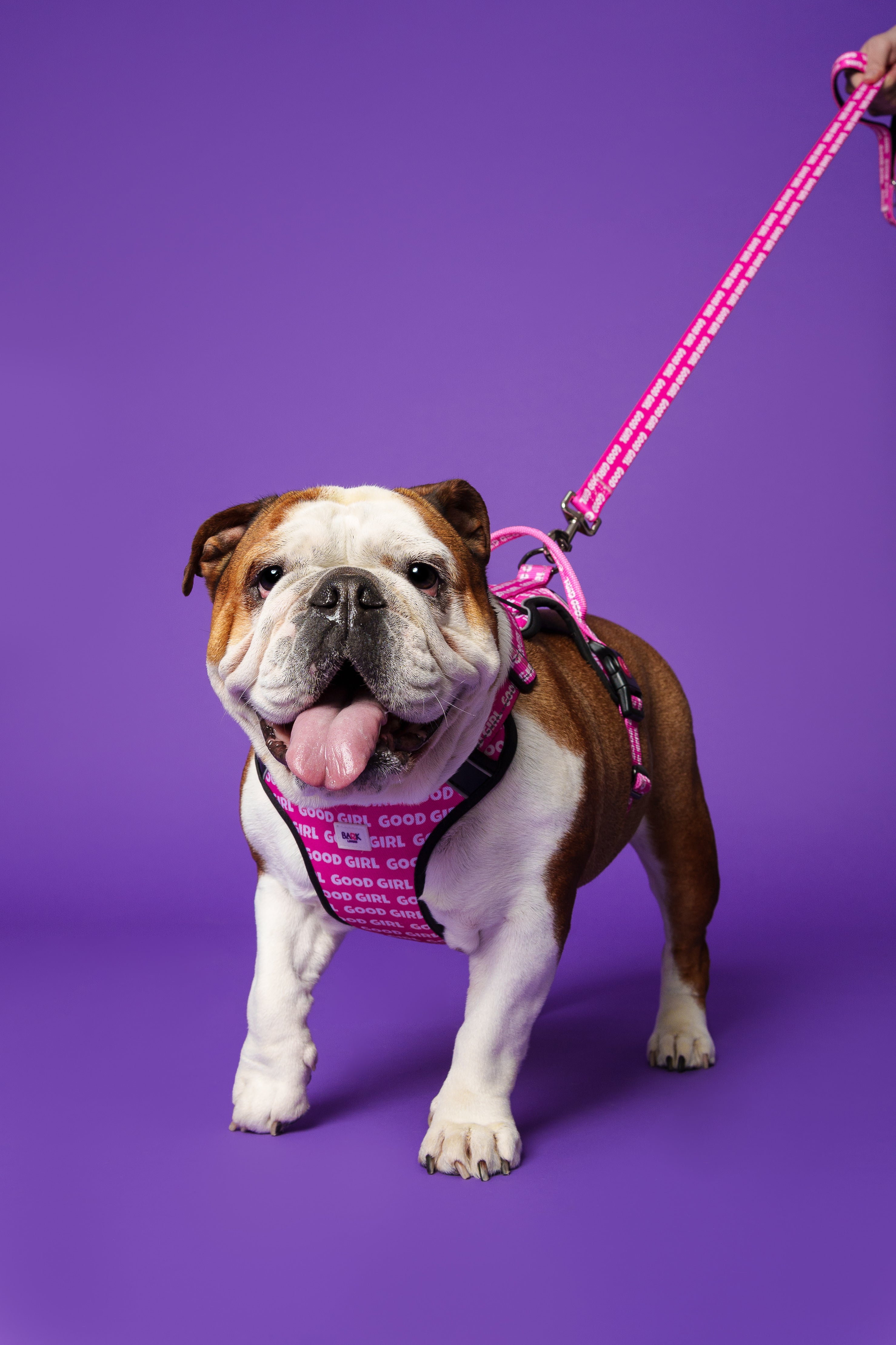 Adjustable Good Girl Dog Harness - Customize the fit for optimal comfort.