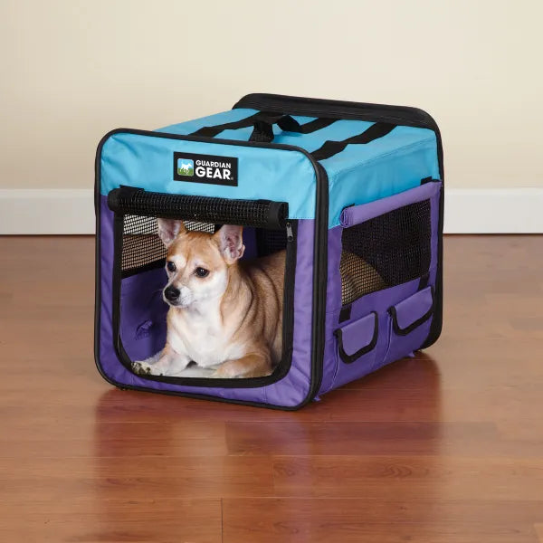 Collapsable crate for small breed dogs.